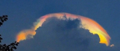 我看到的彩虹 The Rainbow I Saw