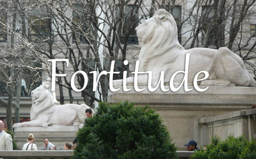 小词详解 | fortitude